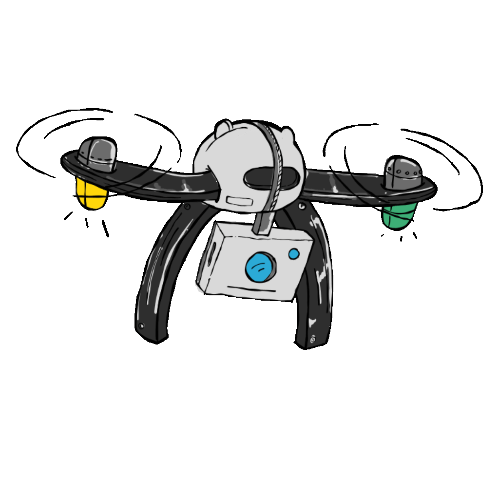 Drone carrying passport