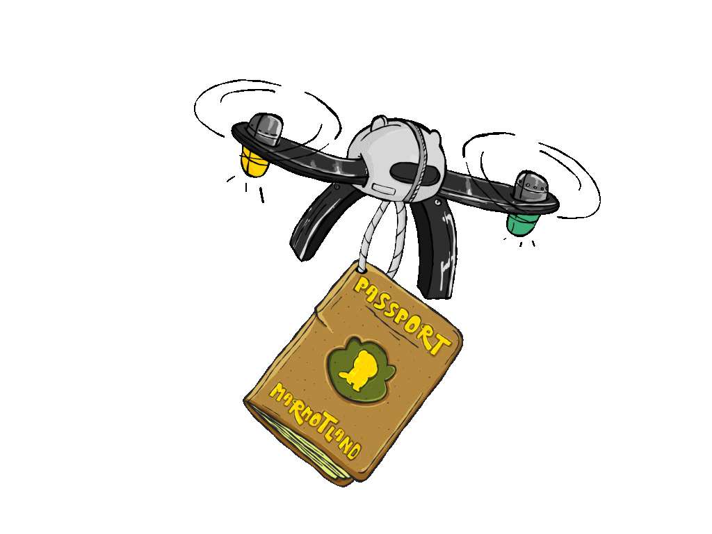 Drone carrying passport